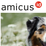 Änderungen Amicus ab 01.01.2026