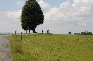 dr gross sumiswauder