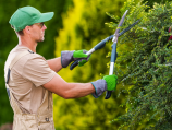 Zurückschneiden von Bäumen, Sträuchern und Anpflanzungen