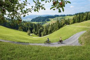 Herzschlaufe Gotthelf