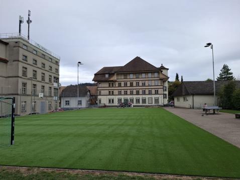 Kunstrasen Wasen