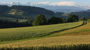 Wynigen-Berge SUmiswald