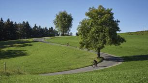 Kappeler und Fritzenfluh