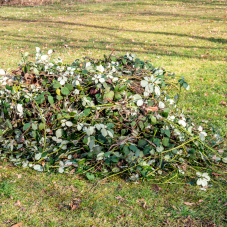 Häckseldienst Gemeinde Sumiswald